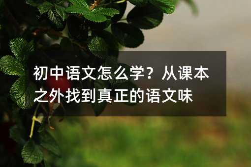 初中语文怎么学?从课本之外找到真正的语文味
