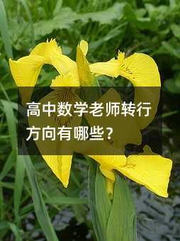 高中数学老师转行方向有哪些?