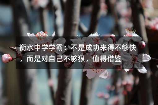 衡水中学学霸:不是成功来得不够快,而是对自己不够狠,值得借鉴