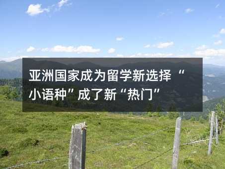 亚洲国家成为留学新选择 “小语种”成了新“热门”