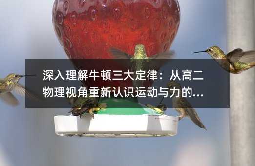 深入理解牛顿三大定律:从高二物理视角重新认识运动与力的本质