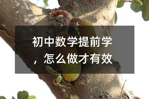 初中数学提前学,怎么做才有效