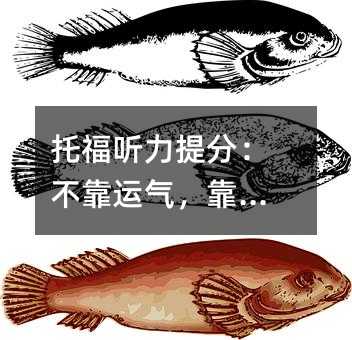 托福听力提分:不靠运气,靠方法