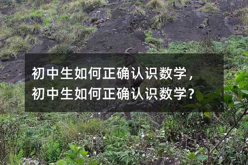 初中生如何正确认识数学,初中生如何正确认识数学?