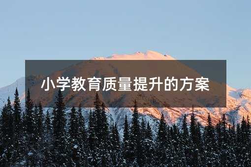 小学教育质量提升的方案