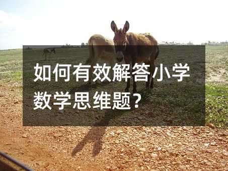 ЧСѧѧ˼ά⣿