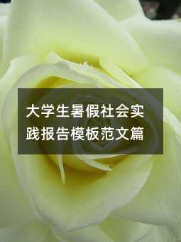 大学生暑假社会实践报告模板范文篇
