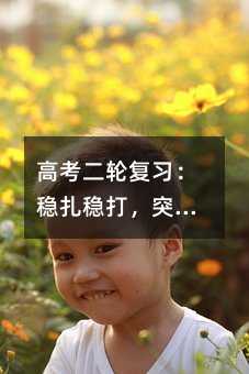 高考二轮复习:稳扎稳打,突破瓶颈的关键阶段