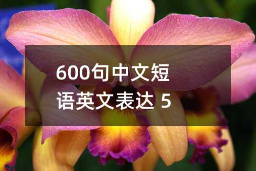 600句中文短语英文表达 5字篇