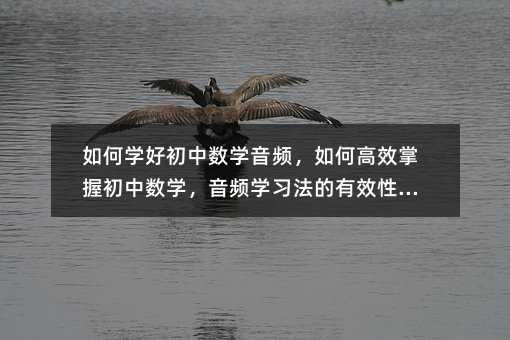 如何学好初中数学音频,如何高效掌握初中数学,音频学习法的有效性探讨