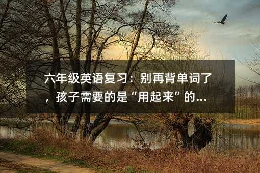 六年级英语复习:别再背单词了,孩子需要的是“用起来”的英语
