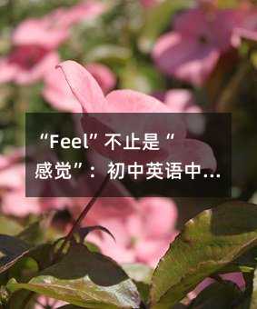 “Feel”不止是“感觉”:初中英语中这个高频动词的五大用法与教学启示