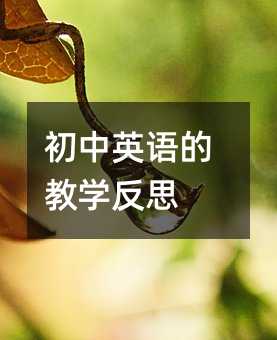 初中英语的教学反思