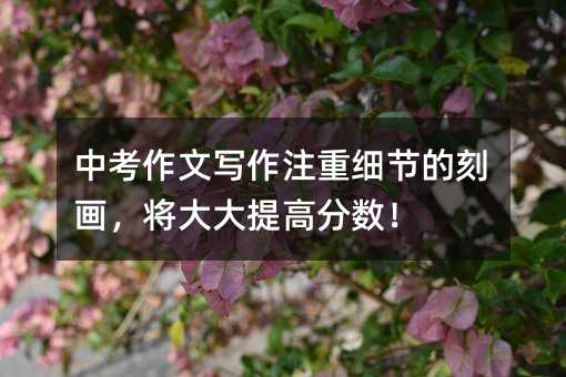 中考作文写作注重细节的刻画,将大大提高分数!