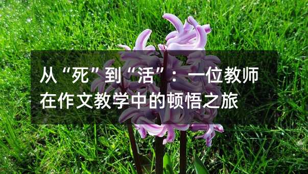 从“死”到“活”:一位教师在作文教学中的顿悟之旅