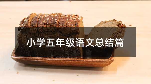小学五年级语文总结篇