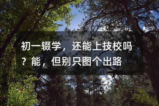 初一辍学,还能上技校吗?能,但别只图个出路