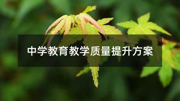 中学教育教学质量提升方案