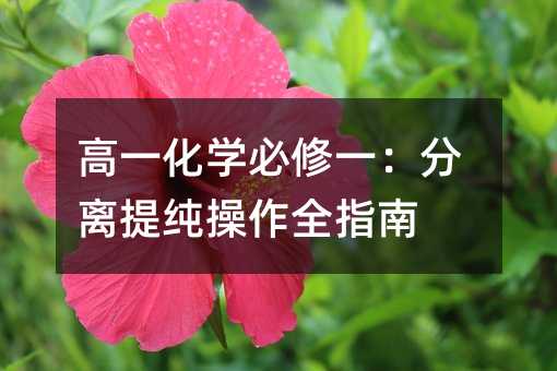 高一化学必修一:分离提纯操作全指南