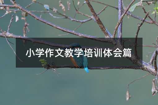 小学作文教学培训体会篇