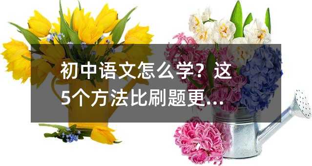 初中语文怎么学?这5个方法比刷题更管用