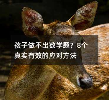 孩子做不出数学题?8个真实有效的应对方法