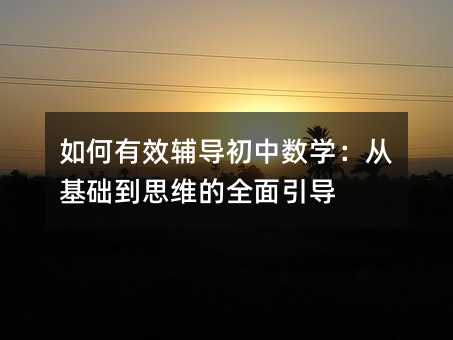 如何有效辅导初中数学:从基础到思维的全面引导