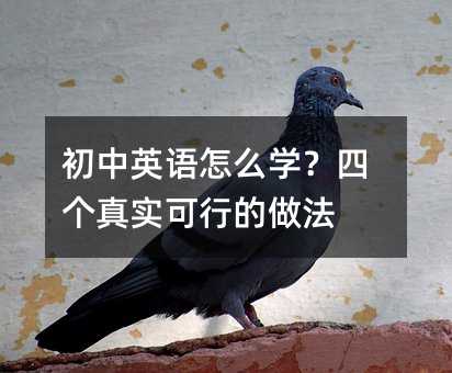 初中英语怎么学?四个真实可行的做法