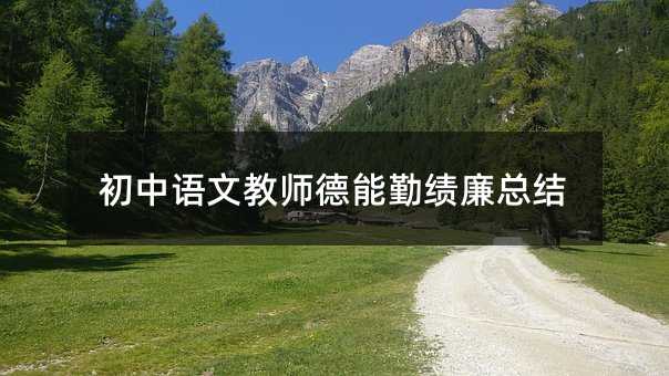 初中语文教师德能勤绩廉总结