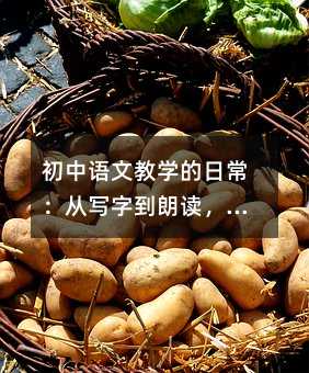 初中语文教学的日常:从写字到朗读,一点一滴养成学习力
