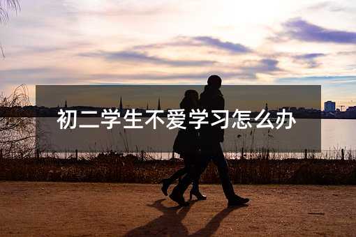 初二学生不爱学习怎么办