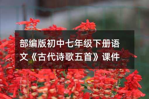 部编版初中七年级下册语文《古代诗歌五首》课件