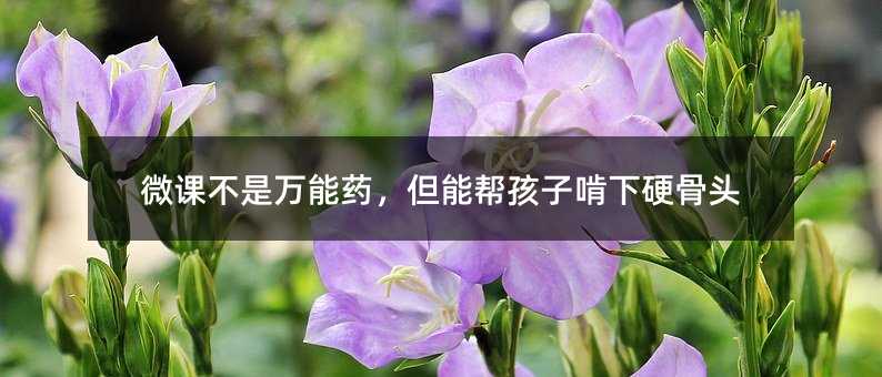 微课不是万能药,但能帮孩子啃下硬骨头