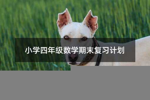 小学四年级数学期末复习计划
