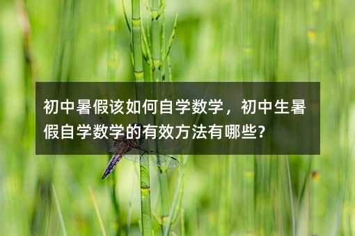 初中暑假该如何自学数学,初中生暑假自学数学的有效方法有哪些?