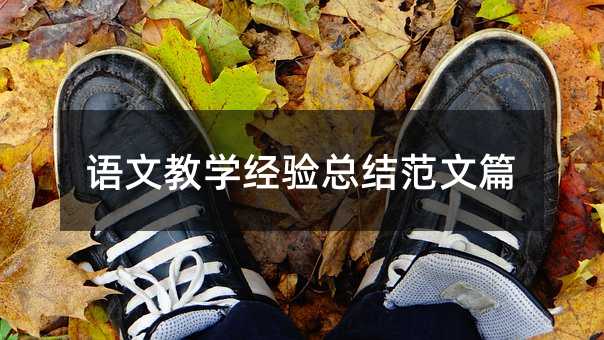 语文教学经验总结范文篇