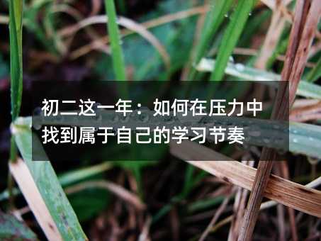 初二这一年:如何在压力中找到属于自己的学习节奏