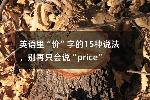 Ӣֵۡ15˵ֻ˵price