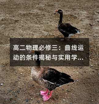 高二物理必修三:曲线运动的条件揭秘与实用学习法