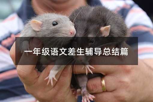 一年级语文差生辅导总结篇