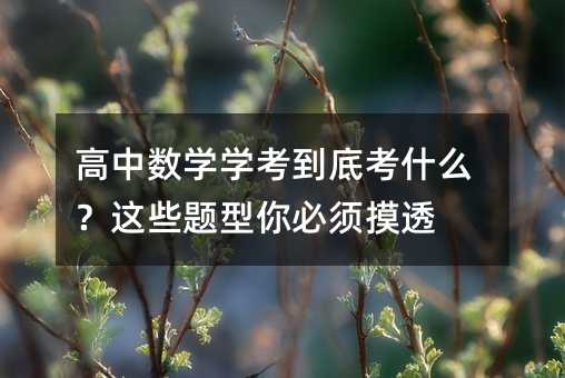 高中数学学考到底考什么?这些题型你必须摸透