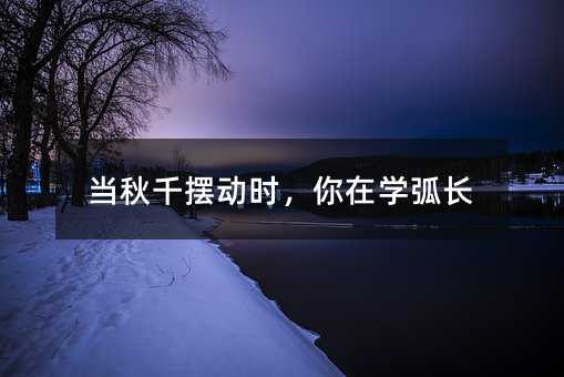 当秋千摆动时,你在学弧长