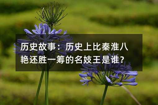 历史故事:历史上比秦淮八艳还胜一筹的名妓王是谁?