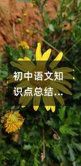 初中语文知识点总结人教版最新篇