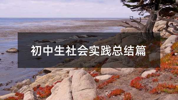 初中生社会实践总结篇