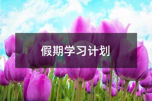 假期学习计划