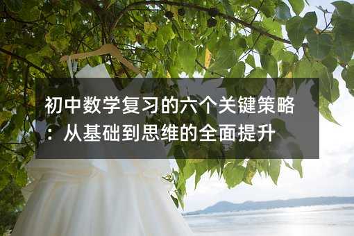 初中数学复习的六个关键策略:从基础到思维的全面提升
