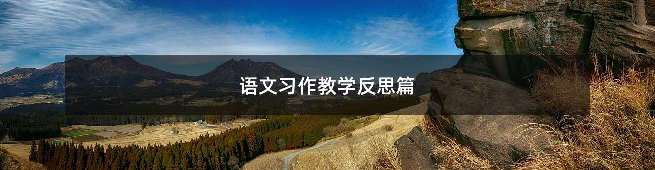 语文习作教学反思篇