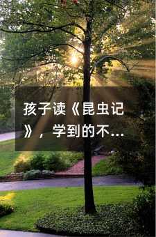 孩子读《昆虫记》,学到的不只是昆虫