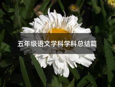 꼶ѧѧܽƪ